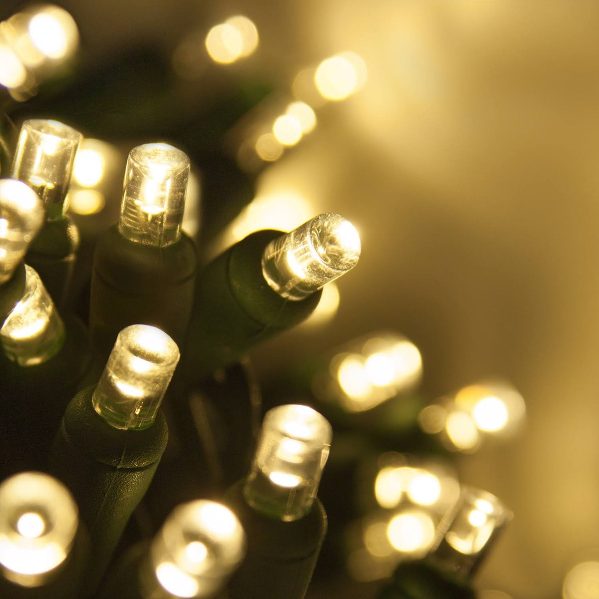70 5mm Warm White LED Christmas Lights, Green Wire, 4" Spacing - Product image 1