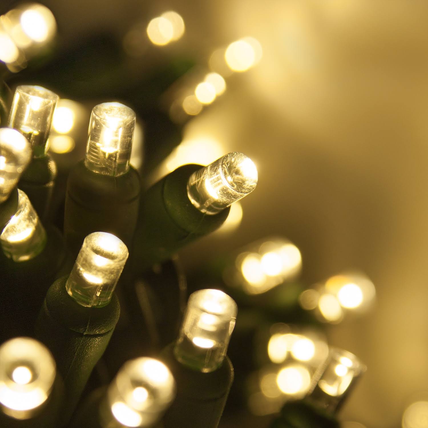 70 5mm Warm White LED Christmas Lights, Green Wire, 4" Spacing - Product image 1