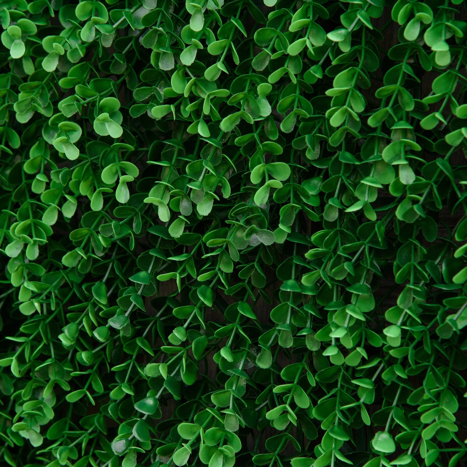 DUOSONG Outsunny Grass Wall Panels, 20" X 20" Artificial Grass Wall Decor - Product image 4